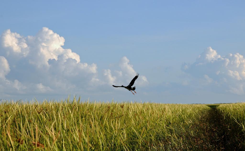 Bamurru Plains Point Stuart المظهر الخارجي الصورة
