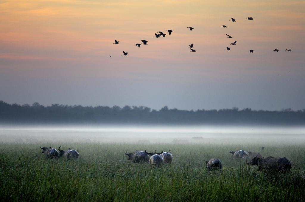 Bamurru Plains Point Stuart المظهر الخارجي الصورة