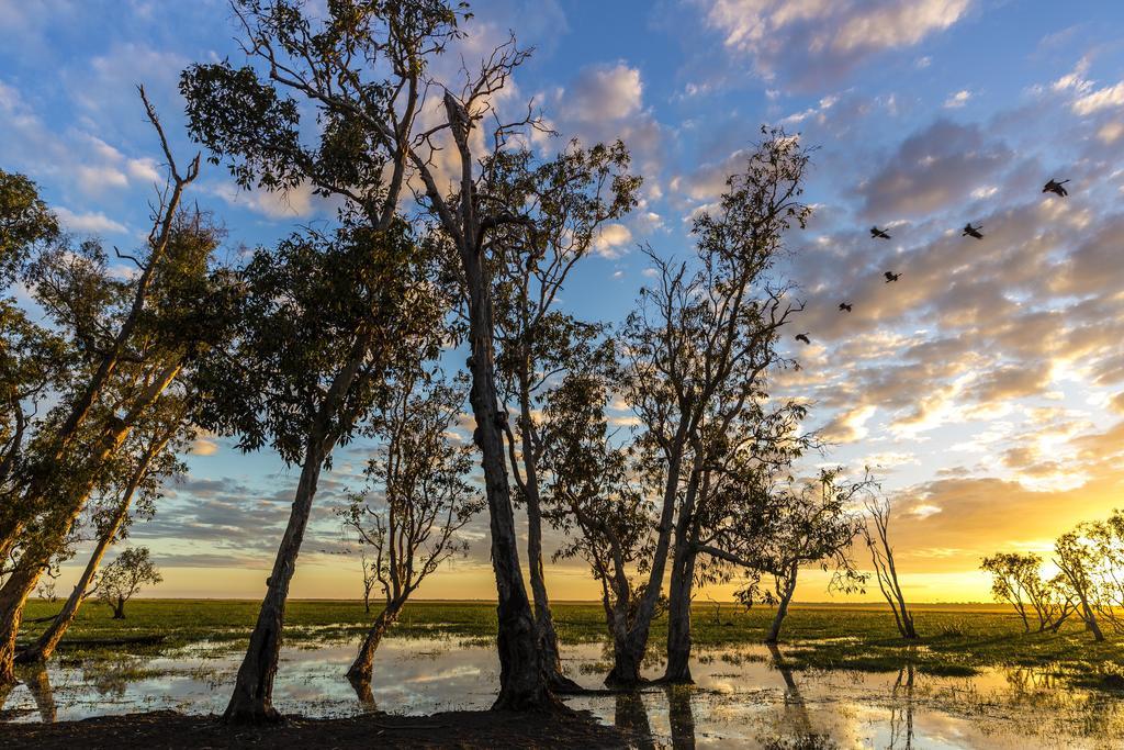 Bamurru Plains Point Stuart المظهر الخارجي الصورة